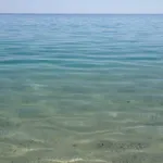 Tigani *